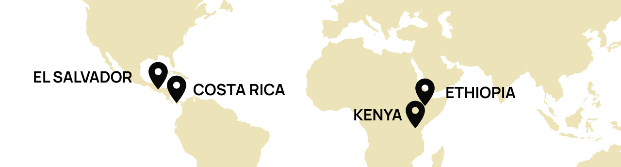 Origine Ethiopia, Costa Rica, Kenya, El Salvador